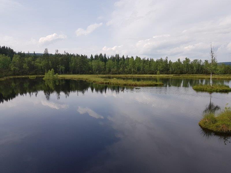 Chalupská slať