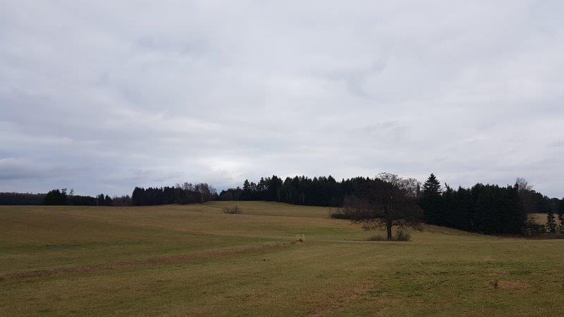 20220101_140135