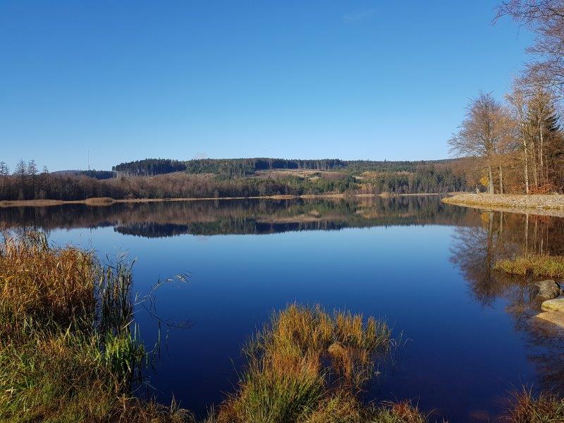 Velký pařezitý rybník
