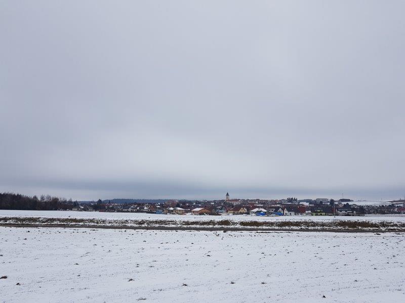 20230128_121144
