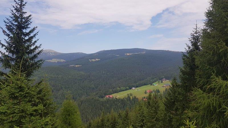 Dřevařskou cestou