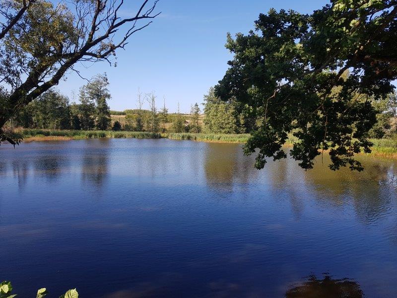 Hladový rybník
