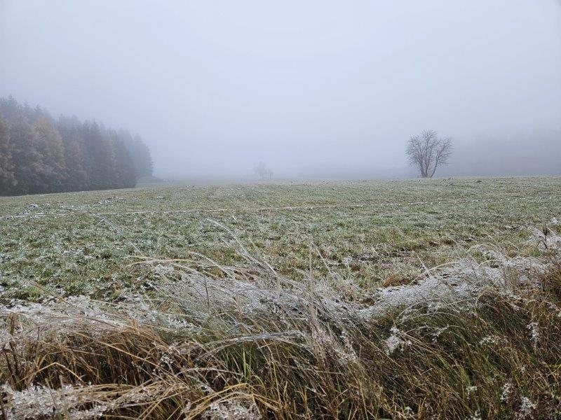 IMG-20231121-WA0126
