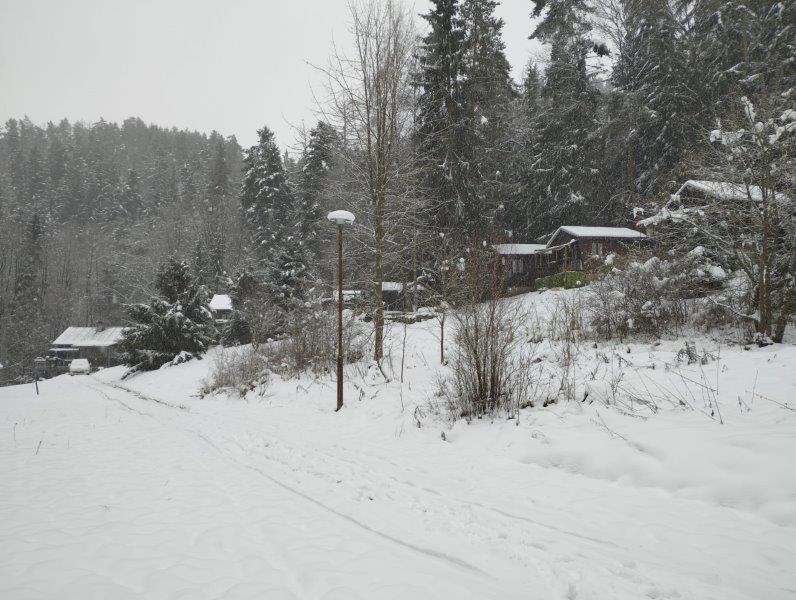 IMG-20231211-WA0031