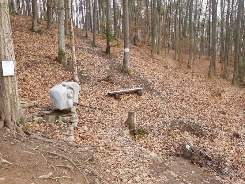 Soví studánka