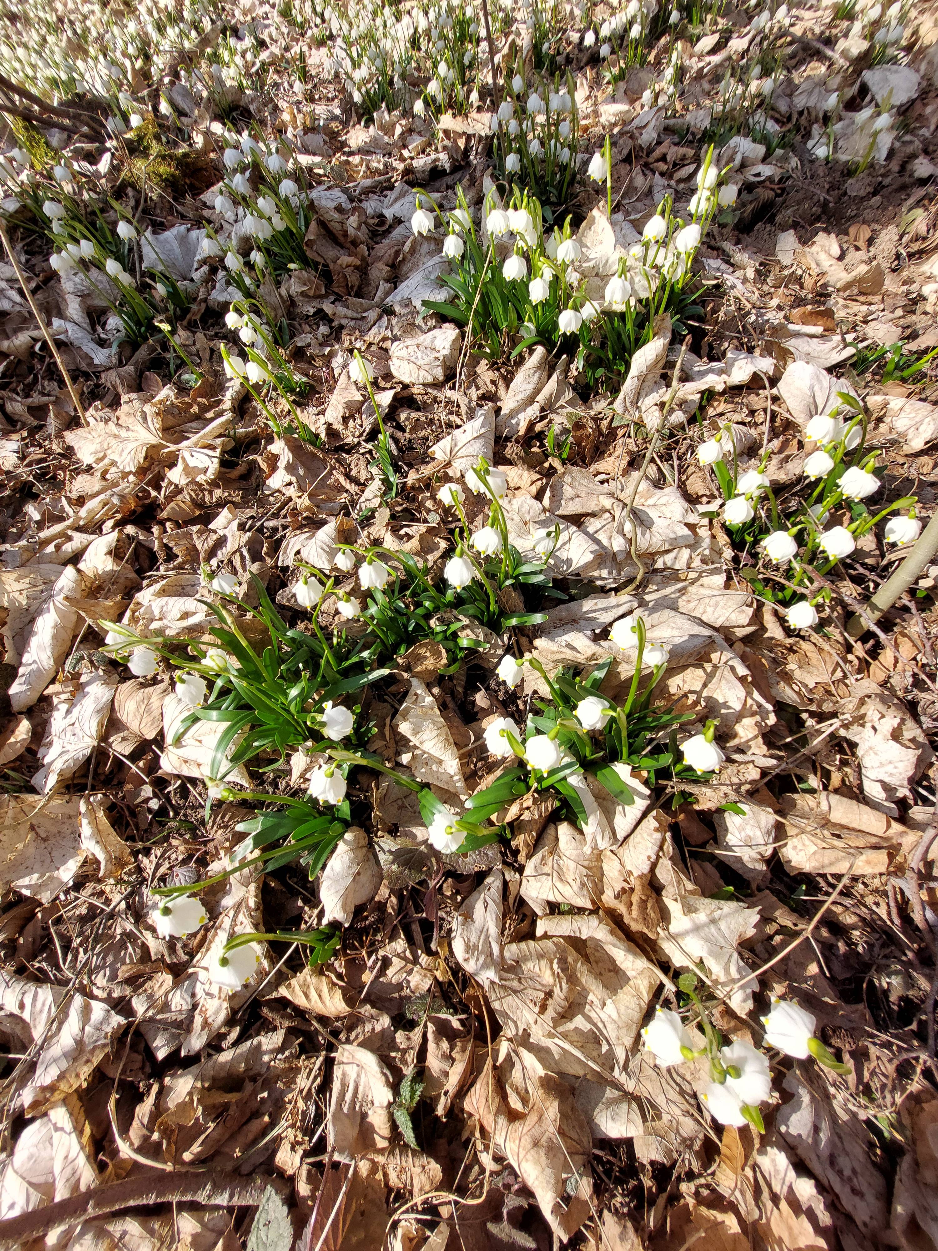 image016
