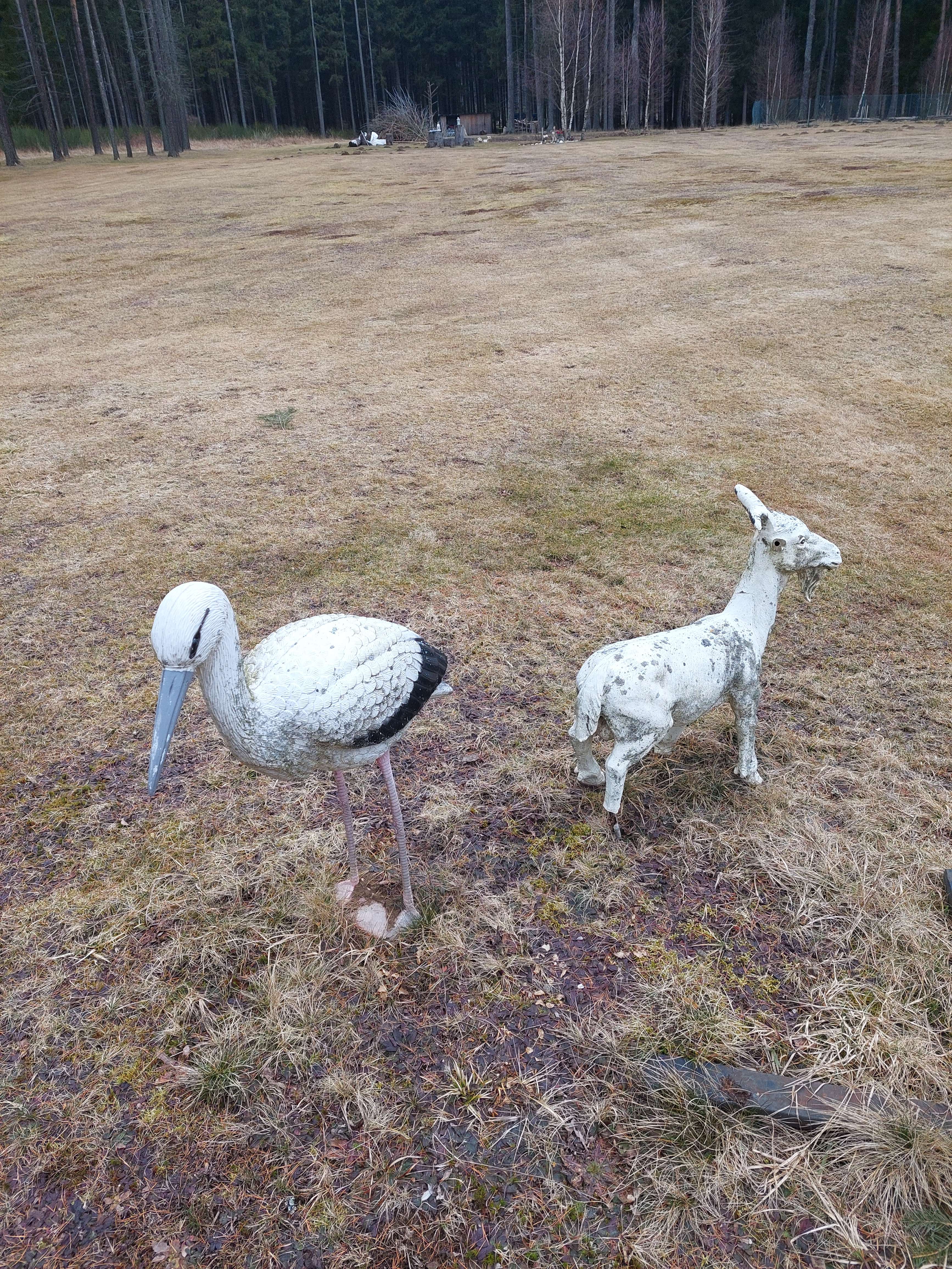 image007