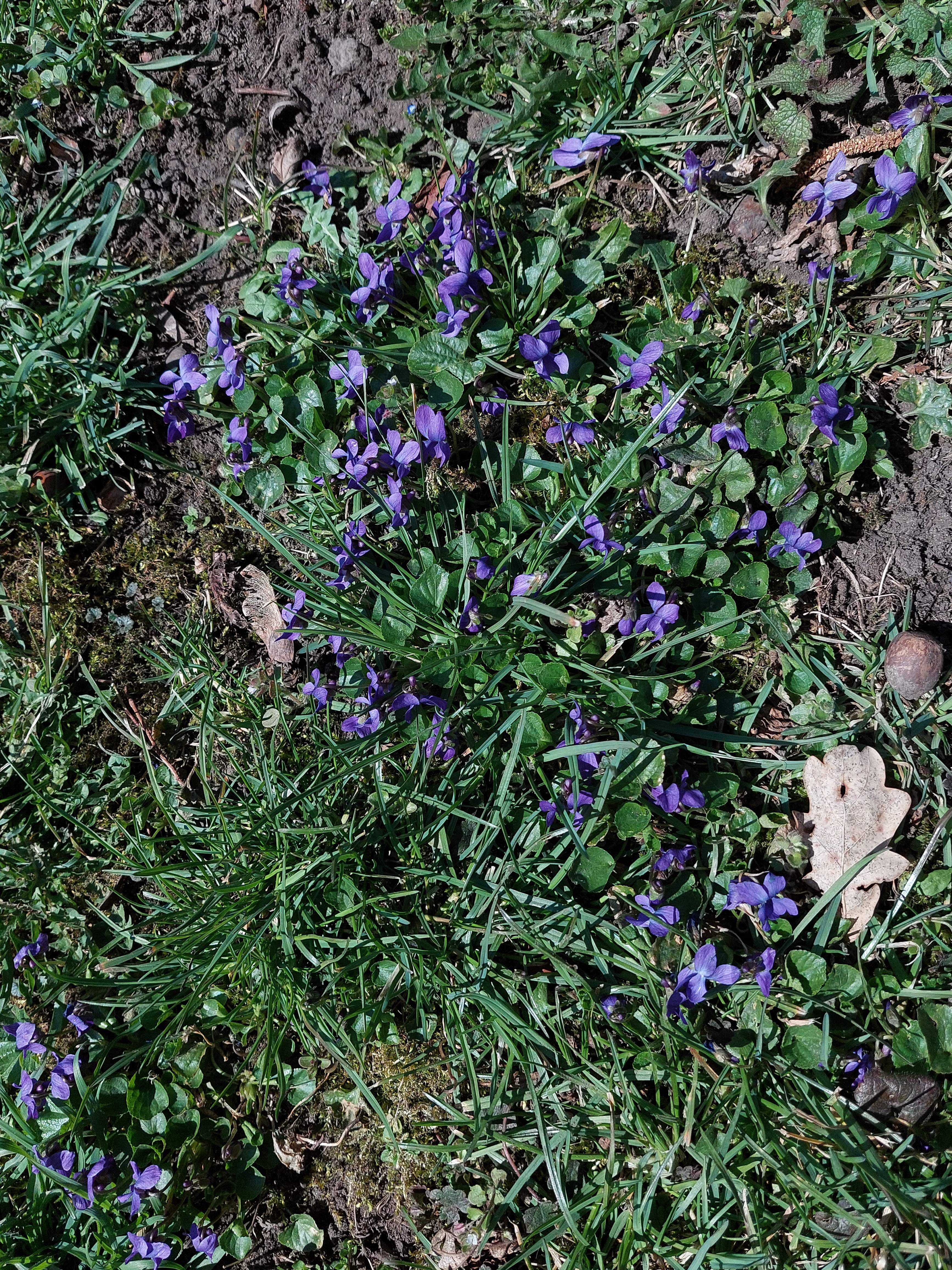 image010