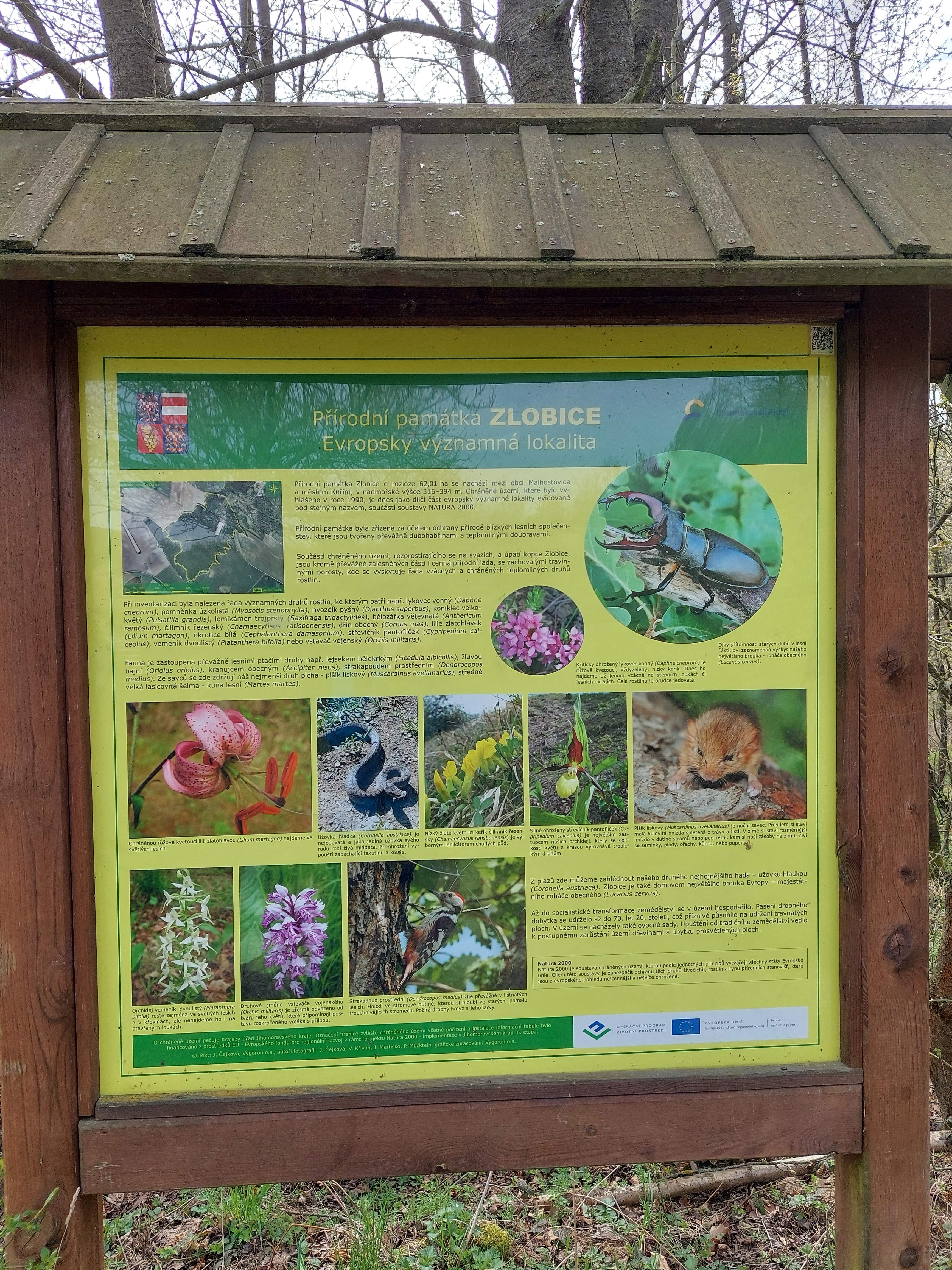 image015