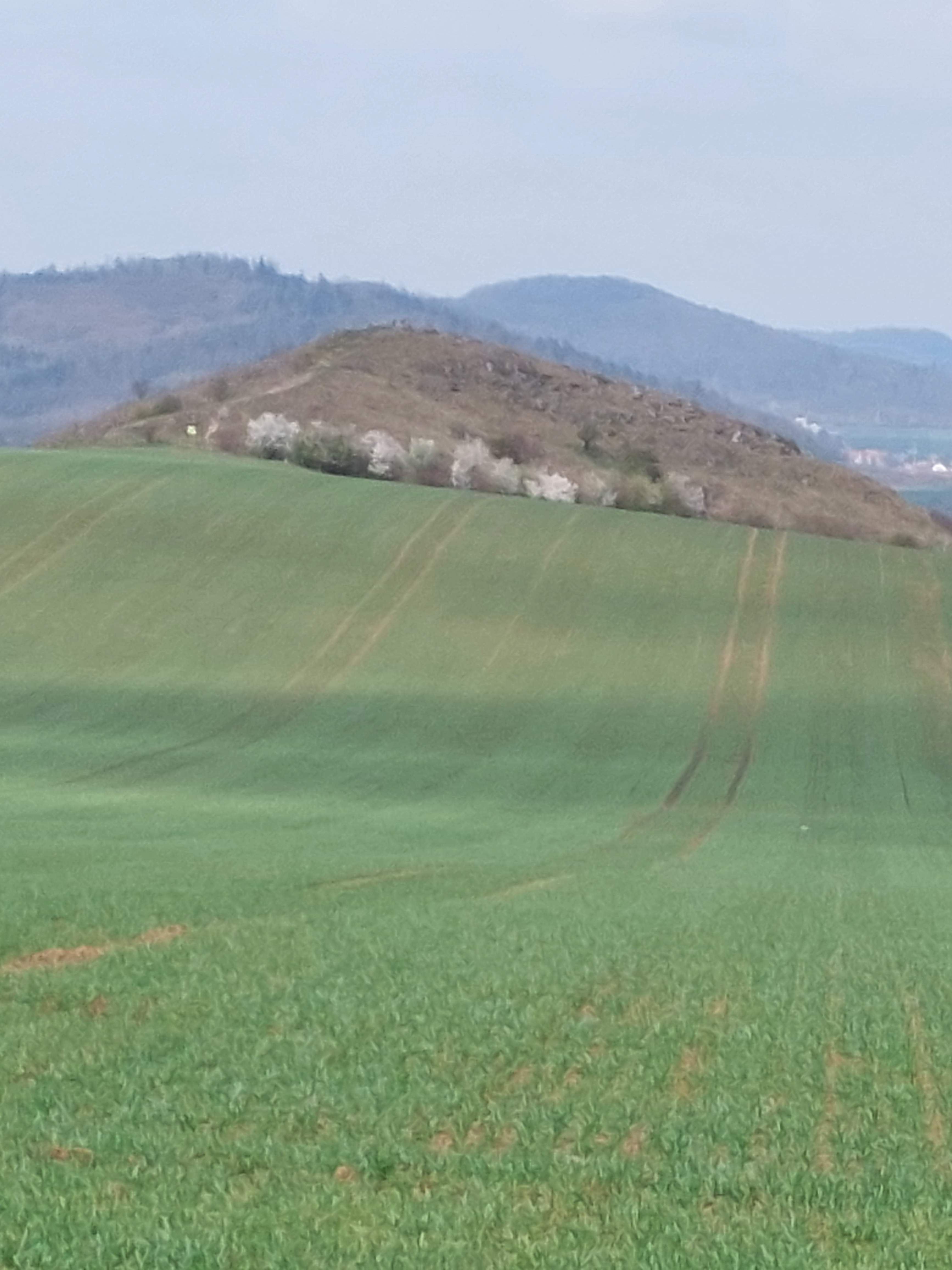image016