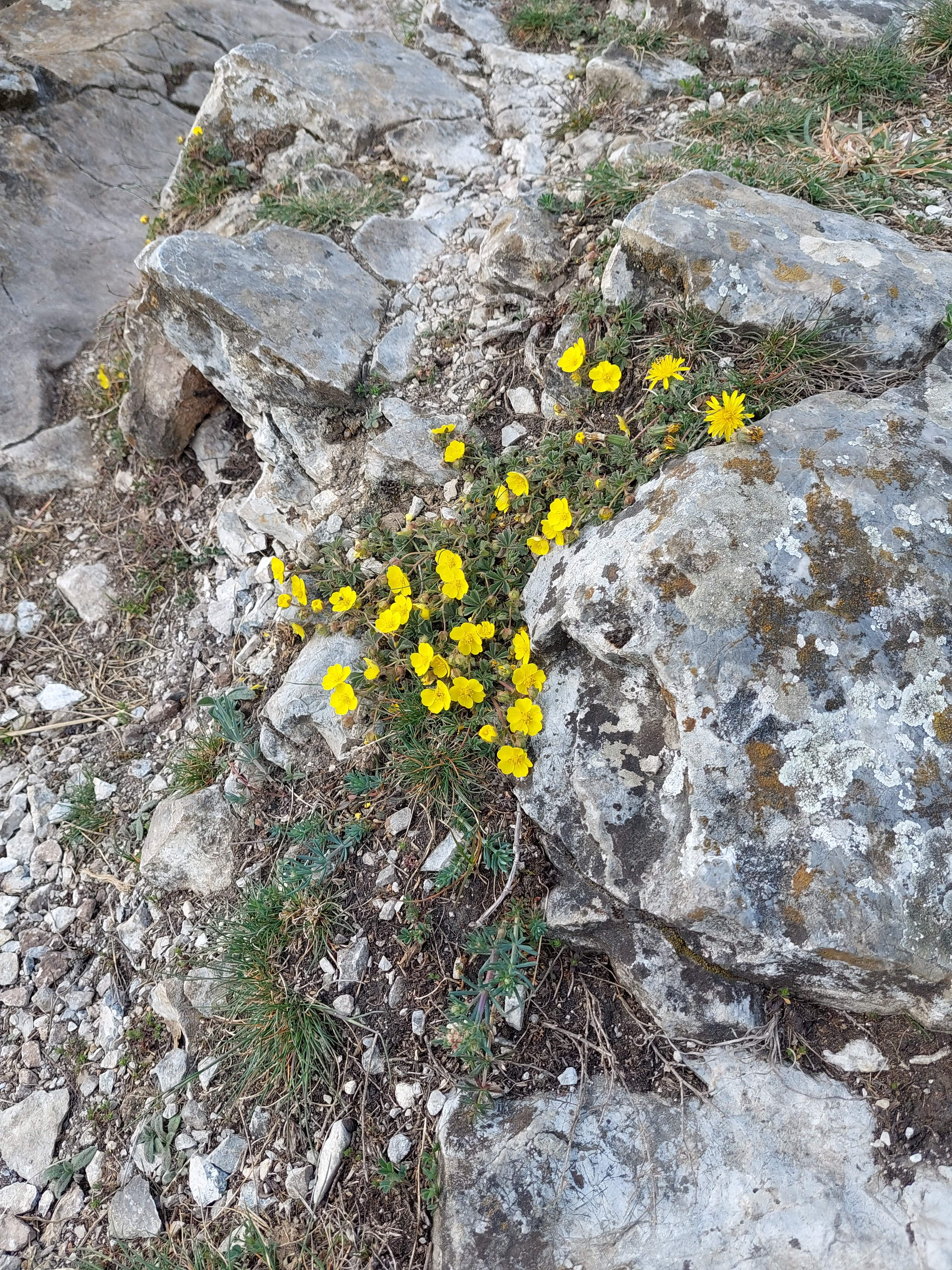 image018