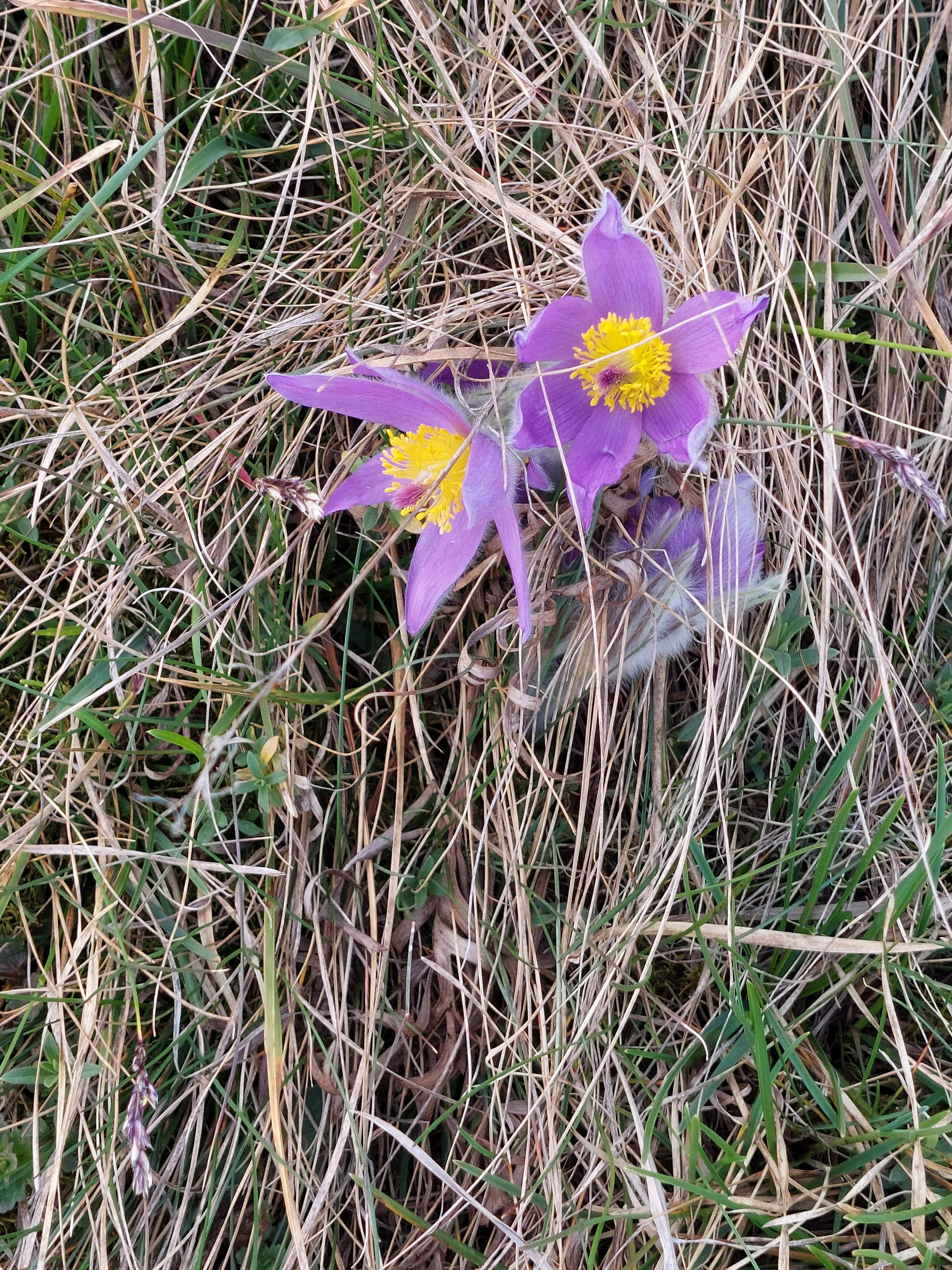 image020