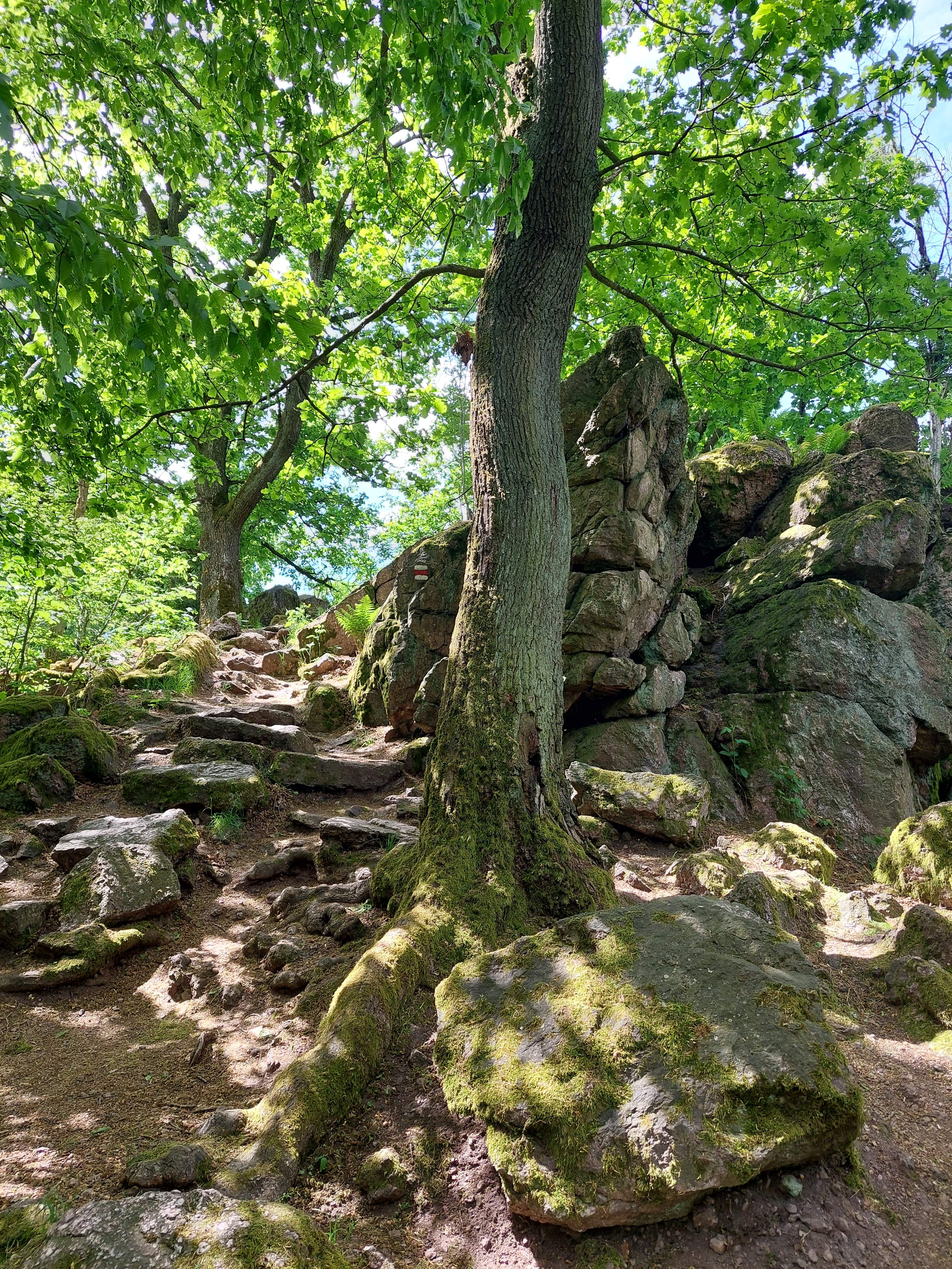 image006