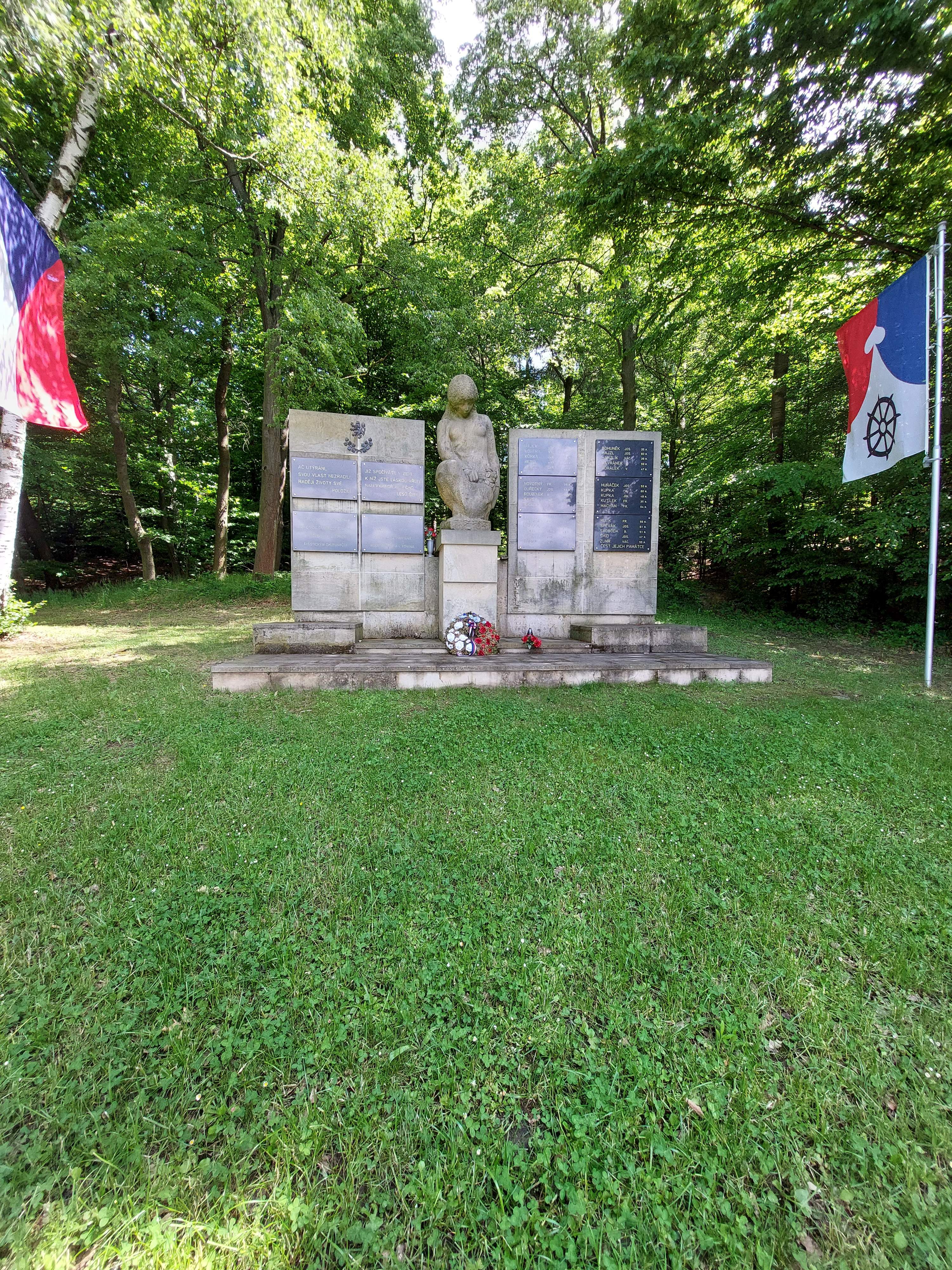 image013