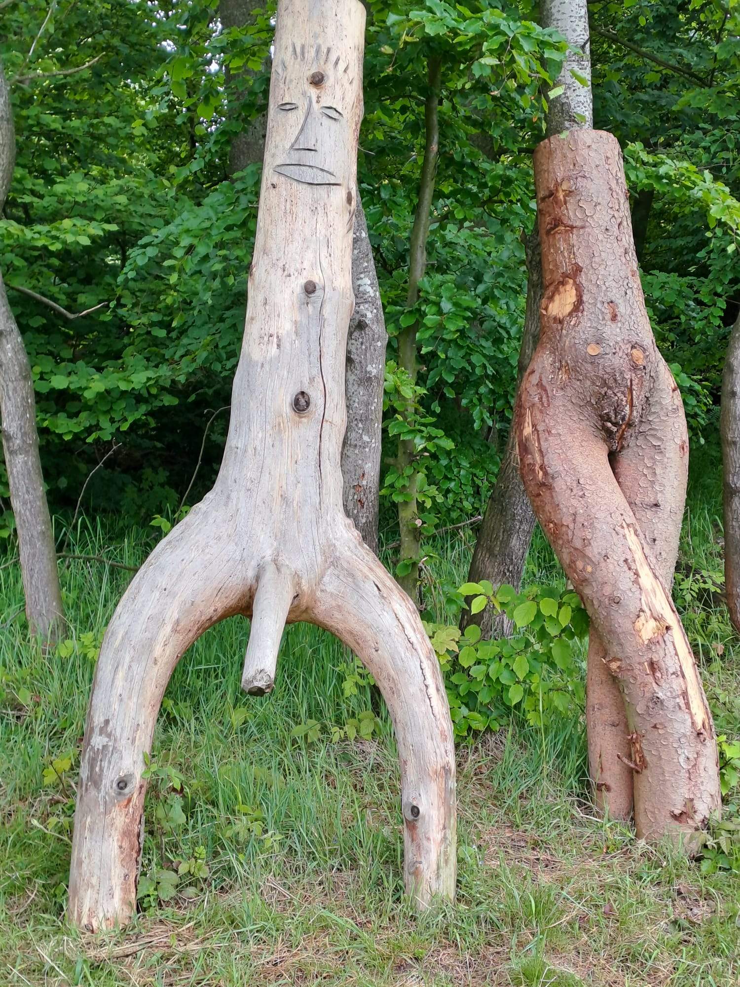 image020