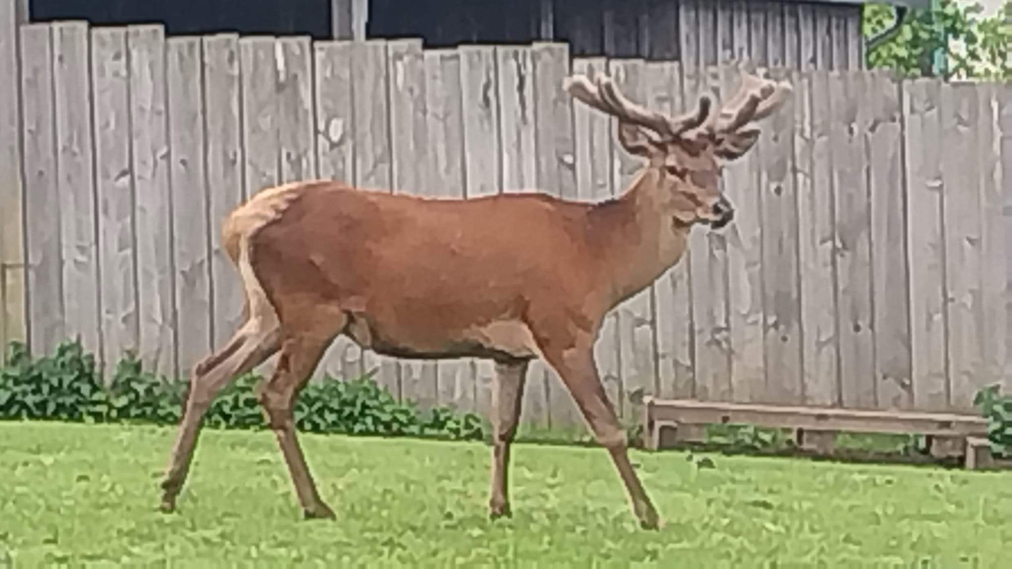 image026