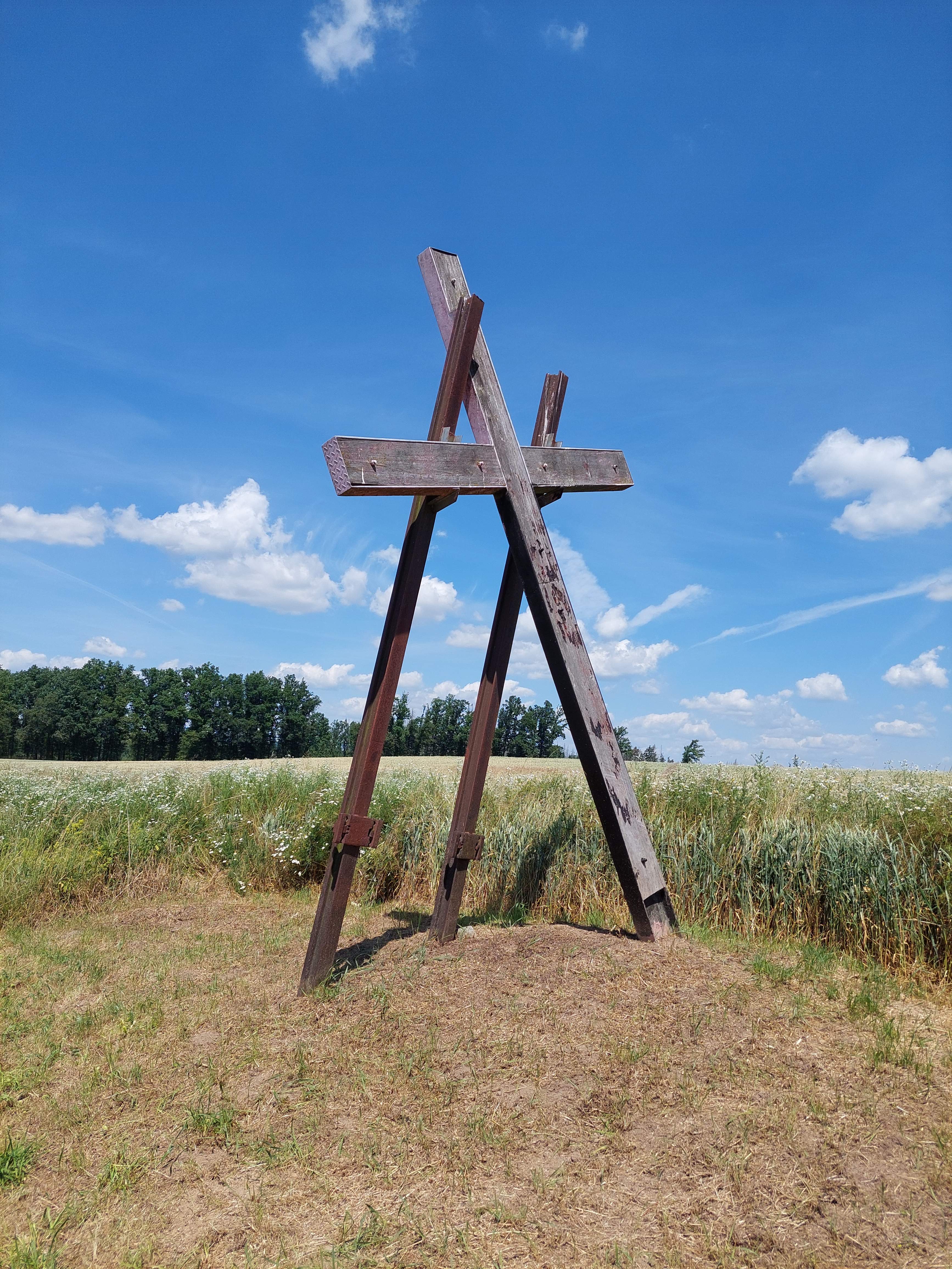 image009