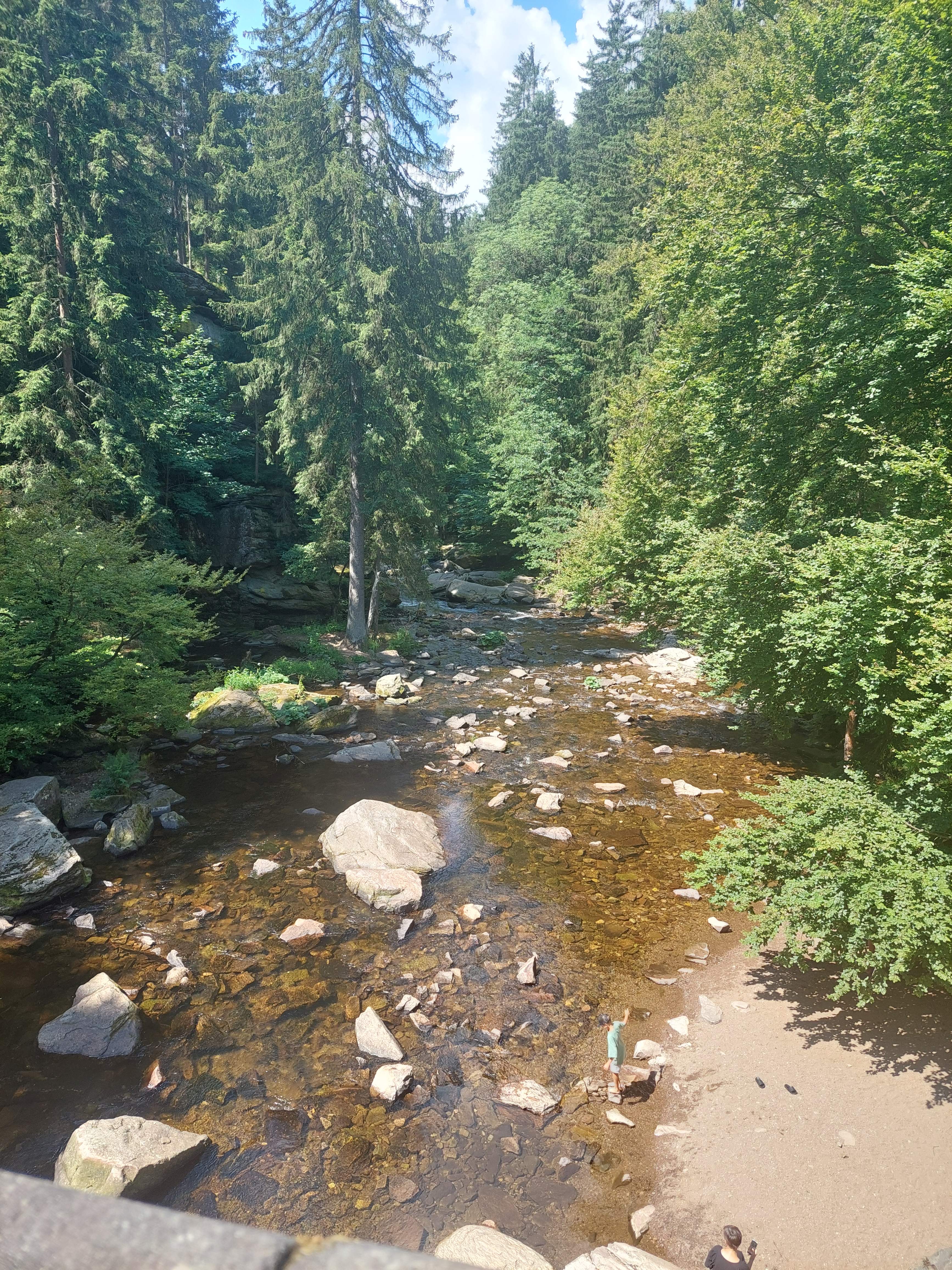 image007