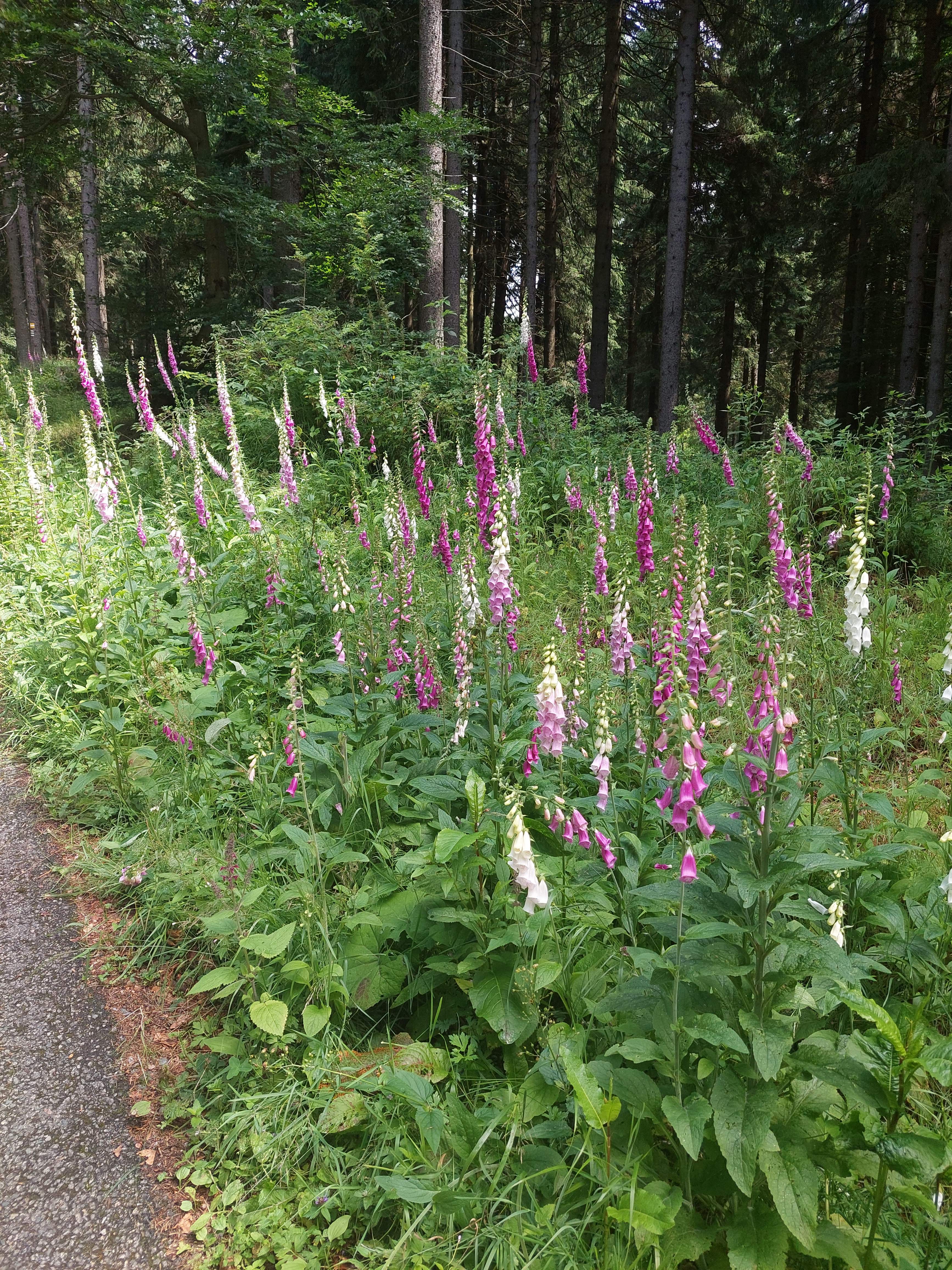 image040