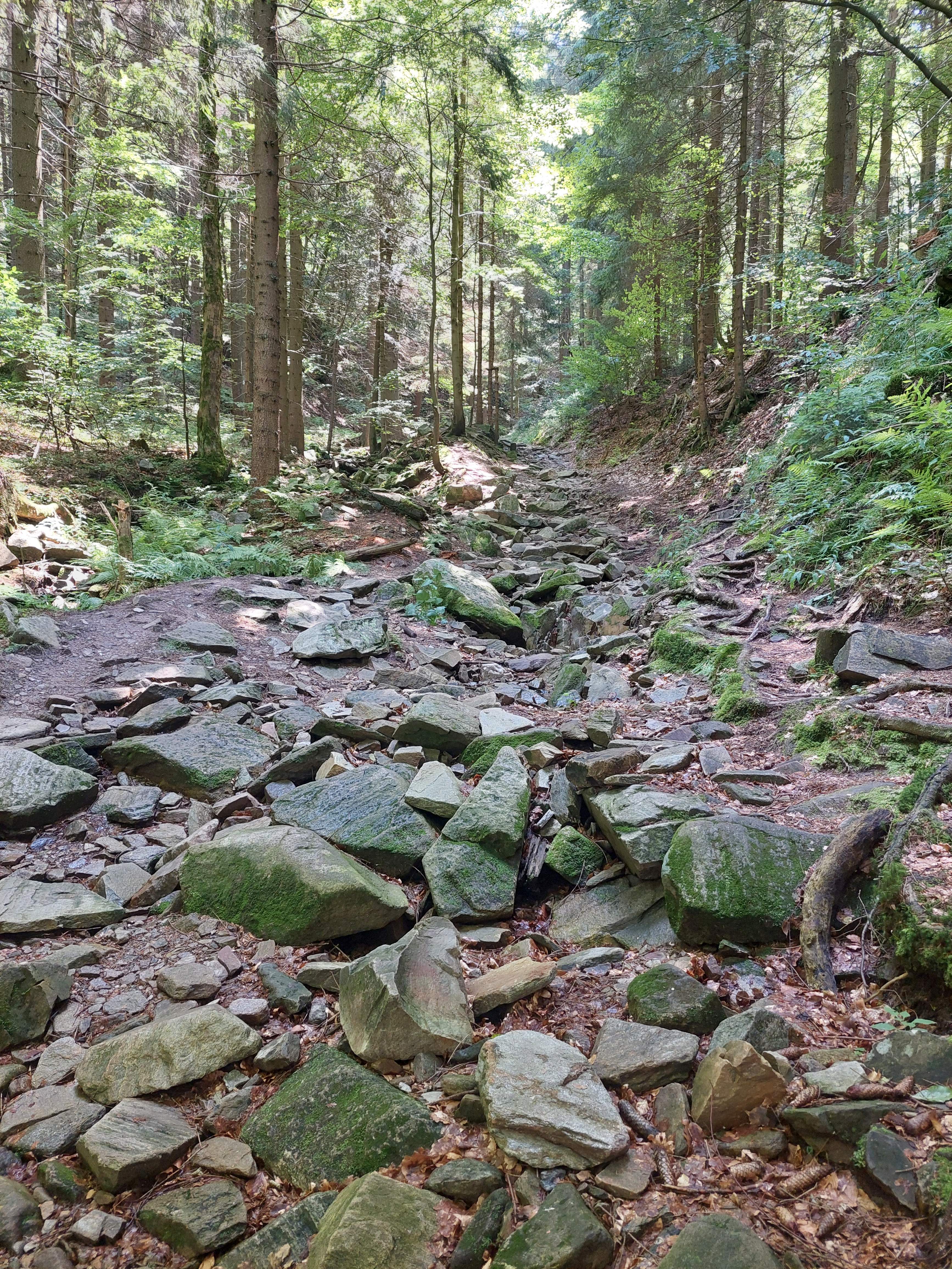 image044