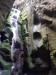 Velký Adršpašský vodopád