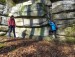 IMG-20241110-WA0004