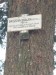image004