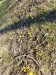 image006