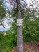 image015