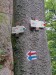image010