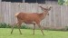 image026