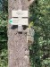 image011