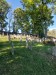 image015