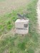 image008