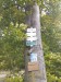 image010