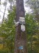 image019