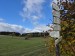image024