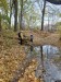 image011
